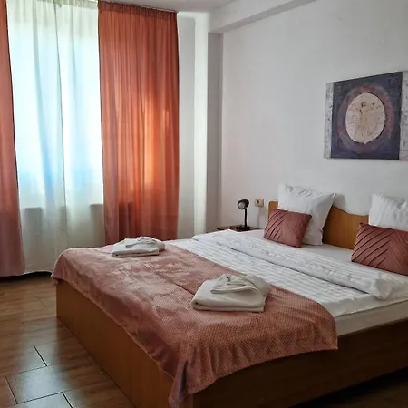 Pensiunea Sofie 3* 布拉索夫