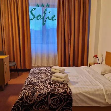 Maison d'hôtes Pensiunea Sofie 3*