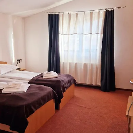 招待所 Pensiunea Sofie 3*