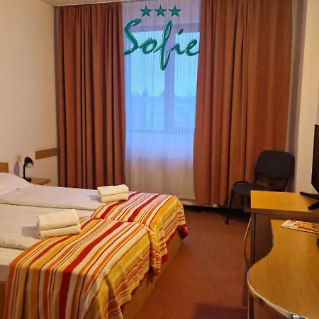 בית הארחה Pensiunea Sofie