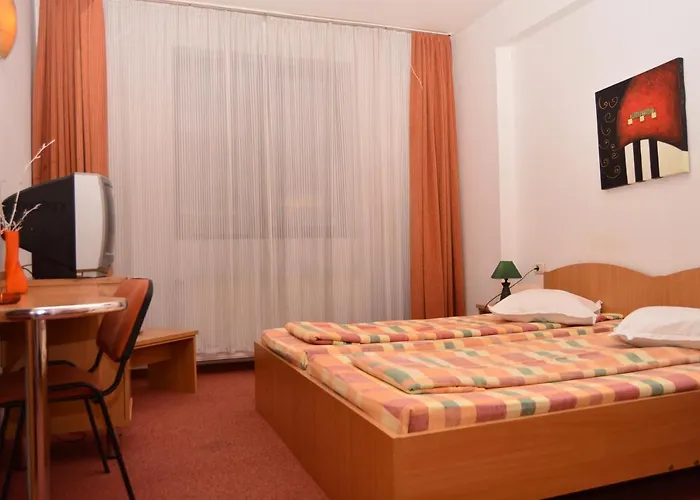 Guest house Pensiunea Sofie 3*