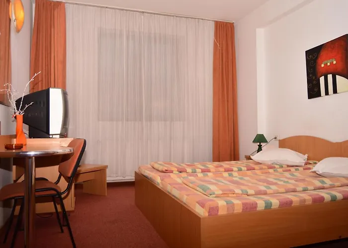 Pensiunea Sofie Affittacamere 3*