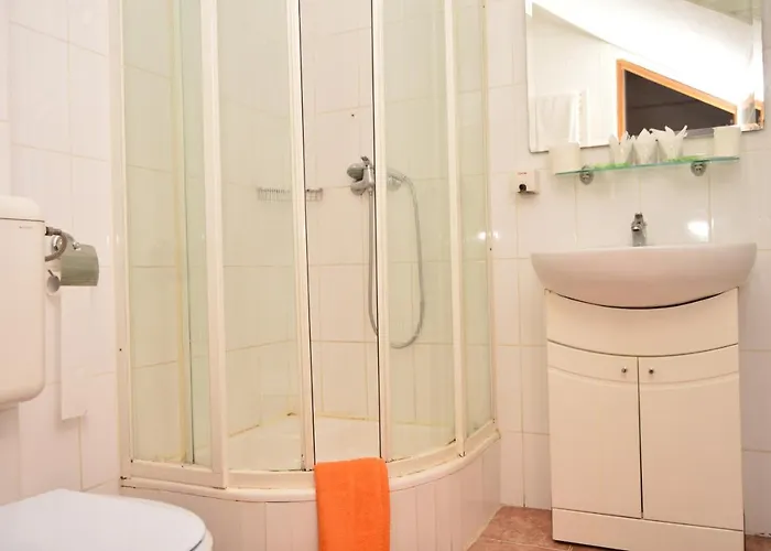 Pensiunea Sofie Guest house