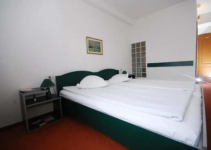 Pensiunea Sofie Guest house