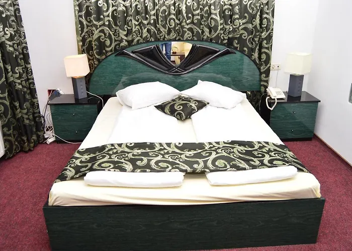 Guest house Pensiunea Sofie