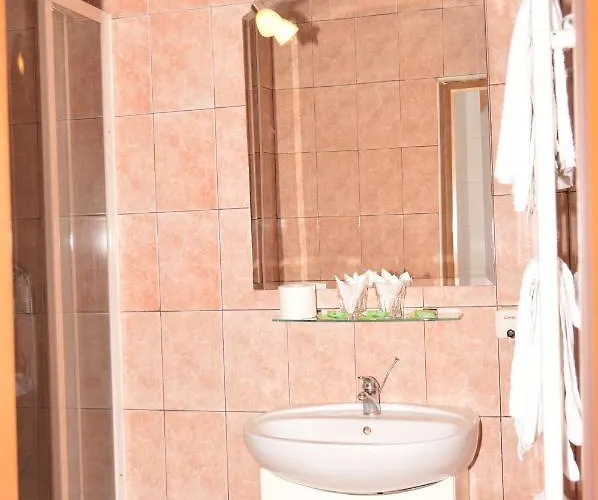 Guest house Pensiunea Sofie Brasov