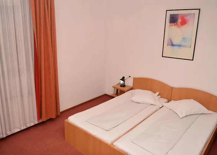 Pensiunea Sofie 3* Braszów