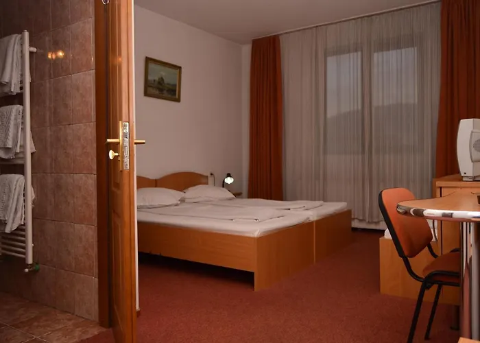 Pensiunea Sofie Guest house