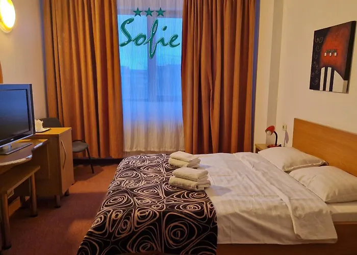 בית הארחה Pensiunea Sofie 3*