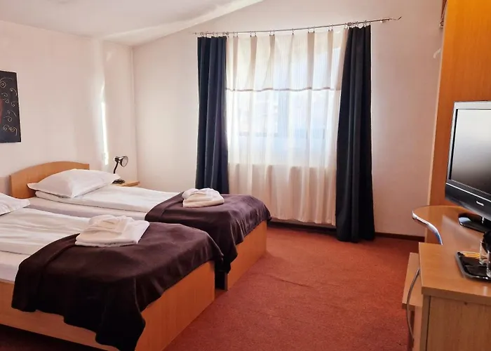 בית הארחה Pensiunea Sofie 3*