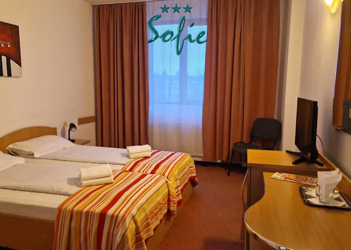 בית הארחה Pensiunea Sofie