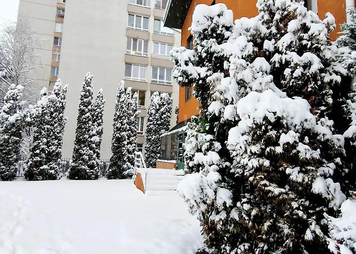 招待所 Pensiunea Sofie 布拉索夫