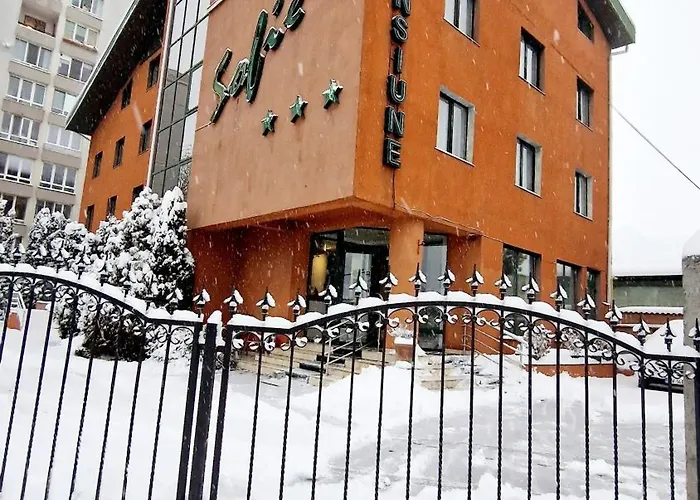 Pensiunea Sofie בית הארחה